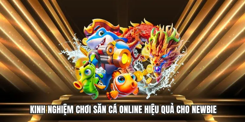 Kinh nghiệm chơi bắn cá đổi thưởng online hiệu quả cho newbie