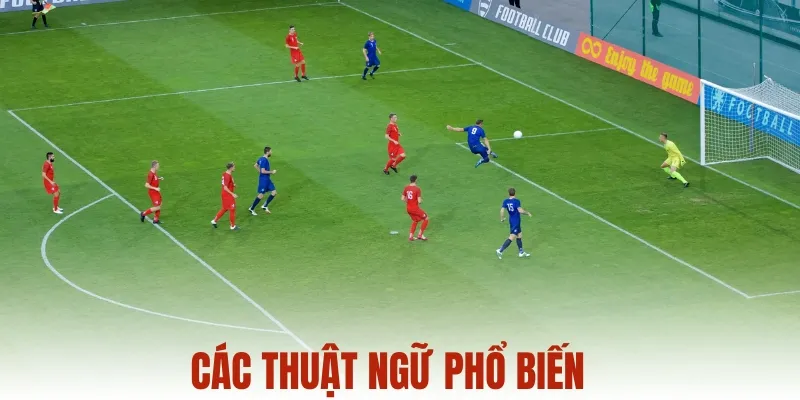 Các thuật ngữ phổ biến trong bóng đá